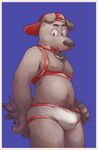  2017 anthro black_nose bulge canine claws clothing dog fur glitter_trap_boy grey_fur male mammal mostly_nude navel nipples simple_background slightly_chubby solo standing underwear 