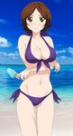  bikini blue_popsicle blue_sky breasts brown_eyes brown_hair ice_cream large_breasts purple_bikini ribbons sawabe_tsubaki shigatsu_wa_kimi_no_uso short_hair 