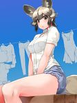  african_wild_dog_(kemono_friends) animal_ears bangs bare_arms bare_legs bear_ears bear_tail between_legs black_hair blue_sky breast_pocket brown_bear_(kemono_friends) clothesline collared_shirt day dog_ears dog_tail drying drying_clothes eyebrows_visible_through_hair grey_hair hand_between_legs happa_(cloverppd) kemono_friends laundry lips looking_at_viewer multicolored_hair multiple_girls outdoors parted_lips pocket shirt short_hair short_sleeves shorts sitting skirt sky solo_focus standing tail thighs white_shirt wing_collar 