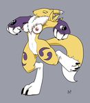  digimon fluf renamon tagme 