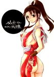  king_of_fighters mai_shiranui snk tagme 