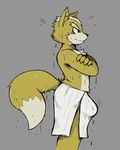  2017 anthro black_nose brown_fur bulge canine caraiothecario clothed clothing colored crossed_arms daftpatriot dipstick_tail edit fox fox_mccloud fur male mammal multicolored_tail nintendo simple_background smile solo star_fox topless towel video_games wet white_fur 