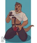  anthro bulge cadmium clothed clothing clothing_lift conditional_dnp dog-bone male mammal mustelid open_pants otter shirt shirt_lift solo underwear 