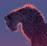  2017 ambiguous_gender cheetah digital_media_(artwork) feline feral fur mammal outside sitting sky solo spots spotted_fur tamberella whiskers 