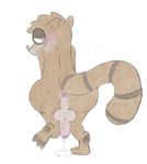  anthro anus balls butt cartoon_network erection humanoid_penis looking_at_viewer looking_back male mammal mentalo penis precum presenting presenting_hindquarters procyonid raccoon rear_view regular_show rigby_(regular_show) scar simple_background solo white_background 