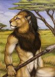  2017 anthro black_nose brown_hair day ear_piercing feline fur hair holding_object holding_weapon lion male mammal melee_weapon nude outside penis piercing polearm solo spear tan_fur teiirka traditional_media_(artwork) tribal weapon 