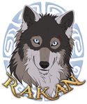  2017 black_nose blue_eyes canine darkicewolf digital_media_(artwork) fluffy headshot_portrait icon looking_at_viewer male mammal portrait rakan scar simple_background smile solo were werewolf wolf 