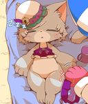  1girl artist_request cat cat_busters eyes_closed furry pussy sleeping solo swimsuit 