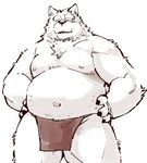  2015 anthro belly canine clothed clothing eyewear fundoshi fur garouzuki glasses japanese_clothing loincloth male mammal mature_male musclegut nipples old overweight skimpy slightly_chubby solo topless underwear undressing white_fur wolf 