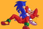  anal anal_penetration anthro balls duo echidna hedgehog knuckles_the_echidna male male/male mammal monotreme nsfw-hideous penetration penis sonic_(series) sonic_the_hedgehog 