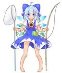  &gt;:) absurdres ahoge ass_visible_through_thighs barefoot blue_bow blue_dress blue_eyes blue_hair blush bow butterfly_net cirno dress fishing_rod flower frilled_sleeves frills full_body hair_between_eyes hair_bow hair_flower hair_ornament hand_net hidden_star_in_four_seasons highres ice ice_wings looking_at_viewer mofu_mofu morning_glory neck_ribbon puffy_short_sleeves puffy_sleeves red_ribbon ribbon short_hair short_sleeves solo sparkling_eyes sunflower tan tanned_cirno touhou v-shaped_eyebrows white_background wings 