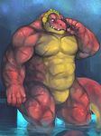  crocodile crocodilian crocodyne front_view kiryu looking_at_viewer male muscular night nude outside pecs red_scales reptile scales scalie sky smile solo standing star water yellow_scales 