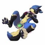  4_fingers anthro biped black_fur black_nose blue_fur bulge canine clothed clothing dog fur green_eyes hybrid jockstrap leash looking_at_viewer lying male mammal mostly_nude navel open_mouth oselotti paws simple_background solo toes tongue topless tuft underwear wolf yellow_fur 