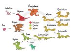  amphibian amphithere chart cockatrice dragon drake_(disambiguation) drakthug fae_dragon feral hydra kirin lindwurm lung_dragon quetzalcoatl salamander sea_serpent text wings wyrm wyvern 