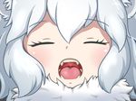  animal_ears close-up closed_eyes eyebrows_visible_through_hair facing_viewer fangs fur_collar kemono_friends lion_ears open_mouth portrait solo teeth vostok_(vostok061) white_hair white_lion_(kemono_friends) 