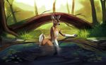  2017 anthro antlers butt cervine deer detailed_background digital_media_(artwork) forest fur hi_res horn koen looking_at_viewer male mammal nude pond solo theowlette tree 