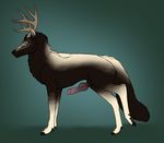  2017 animal_genitalia animal_penis antlers black_pawpads brown_fur brown_horn brown_sclera canine canine_penis cervine deer digital_media_(artwork) erection feral fluffy fluffy_tail full-length_portrait fur green_background hooves horn hybrid knot looking_up male mammal pawpads penis portrait purple_penis raised_leg sheath side_view simple_background solo white_fur wolf yaroul 