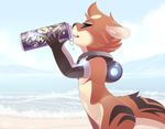  anthro armwear beach beverage black_fur brown_fur can clothing detailed_background drinking elbow_gloves energy_drink eyes_closed fur gloves mammal mustelid otter rebreather rudragon sea seaside tan_fur water wave 