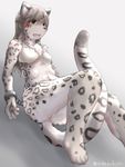  2016 4_breasts anthro barely_visible_genitalia bdsm bondage bound bra breasts clothing feline female leopard mammal mikazuki162 multi_breast nipples open_mouth post_transformation reclining shackles simple_background snow_leopard solo underwear 