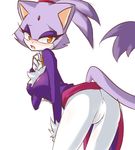  blaze_the_cat kandiineko sega sonic_team tagme 