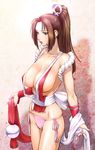  breasts brown_hair cleavage fatal_fury huge_breasts panties ponytail shiranui_mai side-tie_panties sideboob solo the_king_of_fighters ueyama_michirou underwear yellow_eyes 