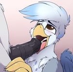  animal_genitalia animal_penis avian beak beakjob black_penis brown_eyes cum cum_in_mouth cum_inside equine_penis eyebrows faceless_male fellatio gryphon male medial_ring meggchan my_little_pony open_mouth oral penis sex wings 