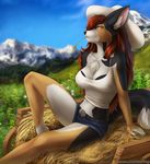  2017 anthro black_nose breasts brown_hair canine chest_tuft clothed clothing day detailed_background digital_media_(artwork) dog elvofirida female grass hair inner_ear_fluff mammal outside sky smile solo tuft 