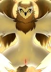  2017 absurd_res anthro anus avian beak bird brown_fur butt chest_tuft clitoris clover~ digital_drawing_(artwork) digital_media_(artwork) feathered_wings feathers feline female fur gryphon hi_res high_priest&#039;s_lightsworn_seeker looking_at_viewer low-angle_view mammal mane multicolored_feathers owl portrait pussy pussy_juice shaded solo three-quarter_portait three-quarter_portrait tuft two_tone_background video_games warcraft wings worm&#039;s-eye_view 