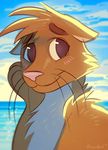  2017 anthro beach blush brown_eyes brown_fur ears_down eyebrows fur male mammal matix multicolored_fur mustelid orcaowl otter outside seaside smile solo tuft water whiskers white_fur 