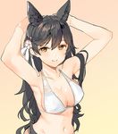  adjusting_hair animal_ears armpits arms_up atago_(azur_lane) azur_lane bangs bikini black_hair breasts brown_eyes extra_ears flower hair_flower hair_ornament large_breasts mole mole_under_eye navel ribbon shovelwell swept_bangs swimsuit upper_body white_bikini white_ribbon 