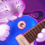  cat electric_guitar feline guitar happy les_paul mammal misterkittens musical_instrument 