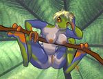  amphibian anthro blonde_hair breasts female frog hair mitti non-mammal_breasts orange_eyes pussy smile solo 