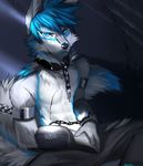  2017 angiewolf anthro blue_eyes blue_fur blue_hair canine chain clothed clothing collar digital_media_(artwork) fox fur hair looking_at_viewer male mammal solo topless white_fur wounded 