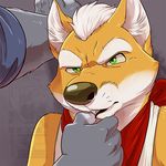  anthro canine duo eclipsewolf fox fox_mccloud male male/male mammal nintendo star_fox video_games wolf wolf_o&#039;donnell 