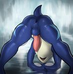  2017 all_fours amphibian anthro anus ass_up backsack balls biped blue_balls blue_body blue_tail butt dacad digital_media_(artwork) erection greninja male multicolored_body nintendo nude open_mouth penis pink_penis pok&eacute;mon pok&eacute;mon_(species) precum rear_view short_tail small_tail solo tan_body video_games 