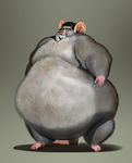  anthro belly big_belly buckteeth hair hand_on_stomach hyper hyper_belly male mammal morbidly_obese nude obese overweight plumeanguis rat rodent solo teeth transformation weight_gain whiskers 
