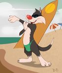  2017 anthro beach beach_umbrella cat clothing eyewear feline fur looney_tunes mammal sand seaside solo sunglasses sylvester tash0 thong warner_brothers 