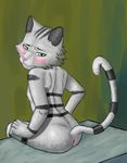  anime anthro anus blush butt cat feline fur green_eyes grey_fur jewelpet long_tail looking_back male mammal raised_tail solo stripes tairenukitty tour_(jewelpet) 