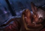  2017 bat bed brown_fur chunie city cityscape clothed clothing flying_fox fruit_bat fur hair hi_res looking_at_viewer love low_light lying male mammal model night partially_clothed petals pinup pose purple_eyes raining reclining romantic solo specter_koen stripes tan_fur white_hair window wings 