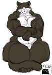  belly biceps black_fur cat feline fur looking_at_viewer male mammal multicolored_fur muscular muscular_arms muscular_male paws pecs sitting thick_neck thick_tail thick_thighs triceps two_tone_fur white_fur xatanlion 