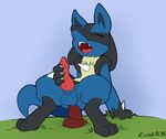  2015 absurd_res anal anal_masturbation anal_penetration anthro arm_support balls blue_fur canine claws color_edit colored crombie crouching digitigrade dildo dildo_sitting edit erection eyelashes eyes_closed fangs front_view fur grass handpaw hi_res hindpaw knot lucario male mammal masturbation moan nintendo open_mouth paws pawtsun penetration penile_masturbation penis pok&eacute;mon pok&eacute;mon_(species) red_penis sex_toy snout solo spikes spread_legs spreading teeth tongue toying_self video_games 