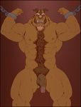  2017 angry anthro arm_hair balls beard beast_(disney) blue_eyes body_hair brown_fur burrserk chain disney facial_hair front_view fur hairy half-erect handcuffs horn humanoid_penis male mammal monster muscular nude penis presenting red_background restraints shackles simple_background solo teeth 