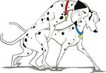  101_dalmatians canine collar dalmatian disney dog female feral feral_on_feral happy happy_sex male mammal perdita pongo puptownfunk sex 