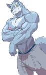  2017 anthro biceps big_muscles canine clothed clothing fur green_eyes male mammal muscular muscular_male nipples pecs rossi_thukigata solo topless wolf 