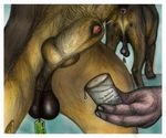  anatomically_correct anatomically_correct_anus animal_genitalia animal_penis anus backsack balls bar butt canine canine_penis crotch_shot cum cum_in_a_cup cumshot darkmare dog ejaculation feral holding_glass holding_object knot knot_in_sheath male malicorne mammal orgasm penis penis_tip rear_view saggy_balls sheath shot_glass 