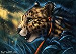  2017 black_nose cheetah digital_media_(artwork) feline feral flashw fur grass green_eyes mammal open_mouth smile solo spots spotted_fur tan_fur teeth tongue whiskers 