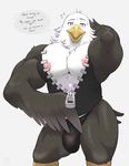  animal_crossing anthro apollo_(animal_crossing) avian biceps big_pecs bird bulge dialogue eagle male muscular nintendo nipples pecs repzzmonster solo sweat talking_to_viewer text tired video_games 