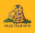  ball_gag bdsm gadsden_flag gag humor parody reptile scalie snake unknown_artist 