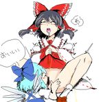  cirno reimu_hakurei tagme touhou 