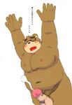  2017 anthro balls bear blush brown_fur cum eyewear fur glasses japanese_text male mammal moobs nipples one_eye_closed overweight overweight_male penis shu-ichiro simple_background solo text tokyo_afterschool_summoners volos white_background wink 